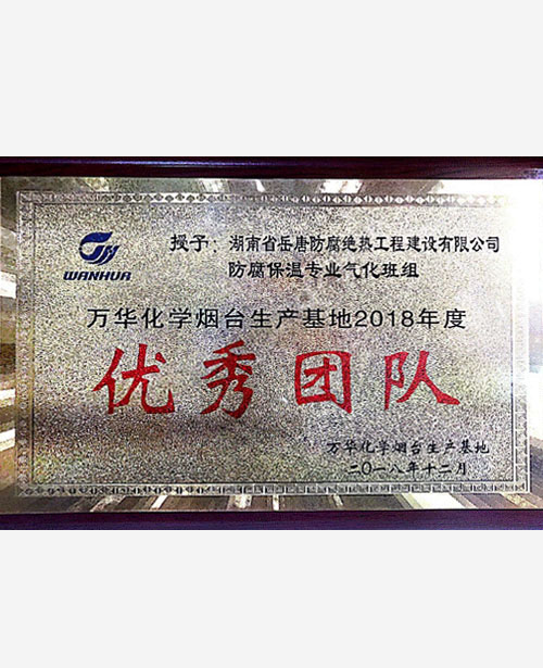萬華化學煙臺生產(chǎn)基地2018年度優(yōu)秀團隊